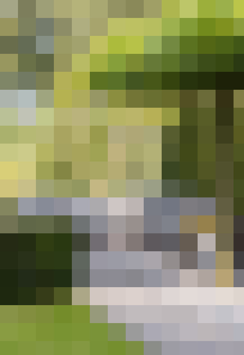 Image 38