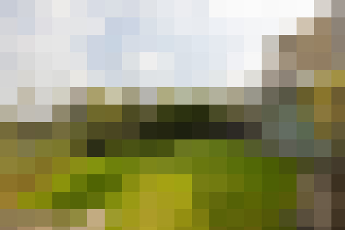 Image 37