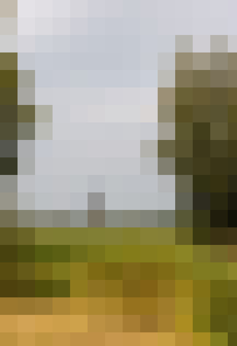 Image 49