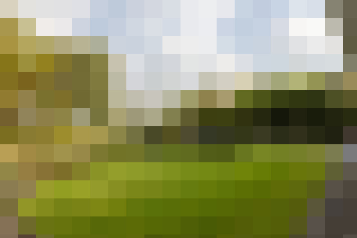 Image 36