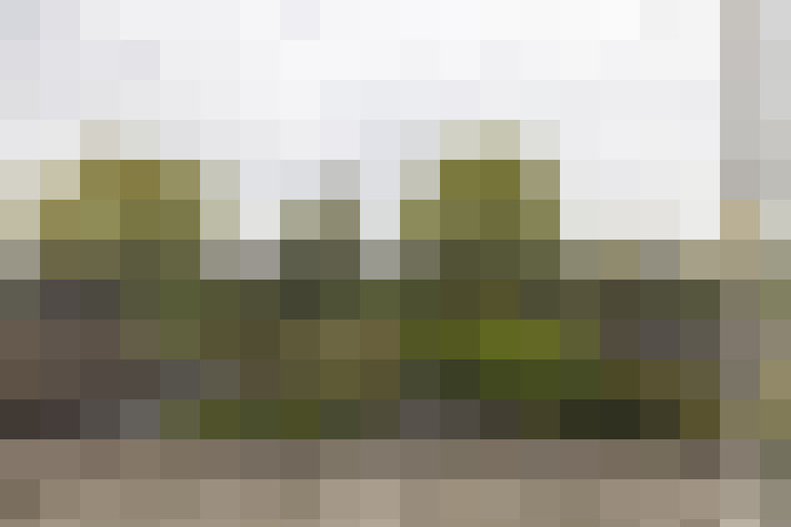 Image 43