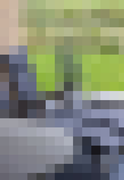 Image 41