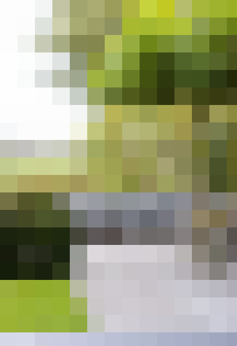 Image 39