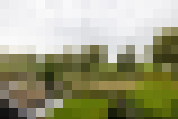 Image 42
