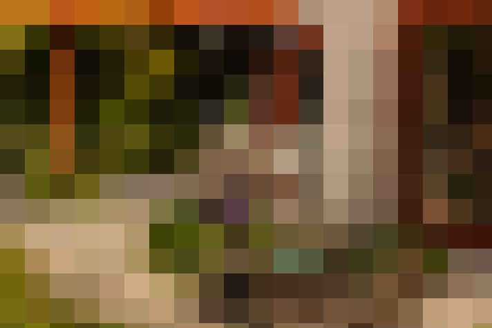 Image 17