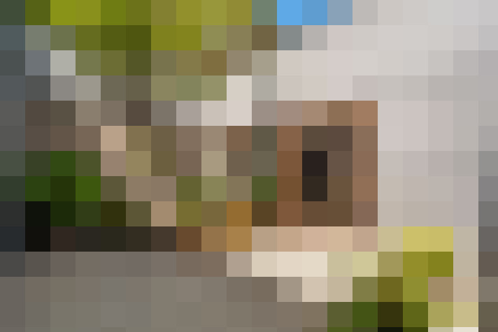 Image 37