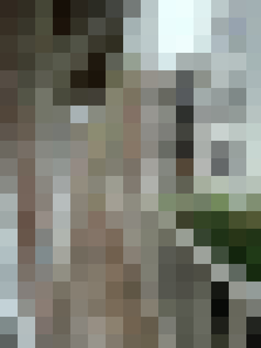 Image 20