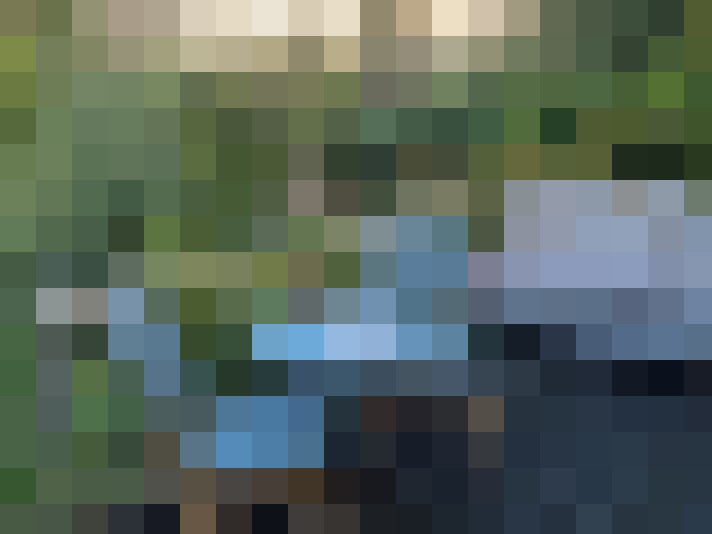 Image 25