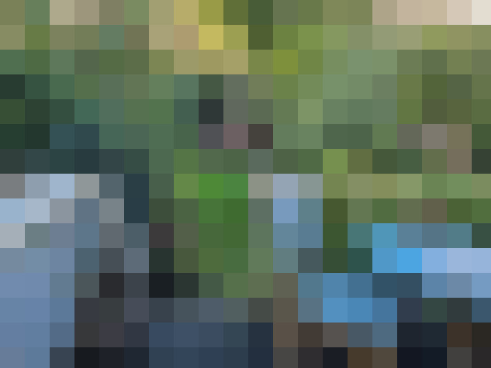 Image 26