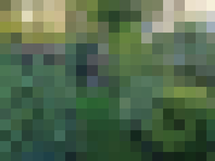 Image 30