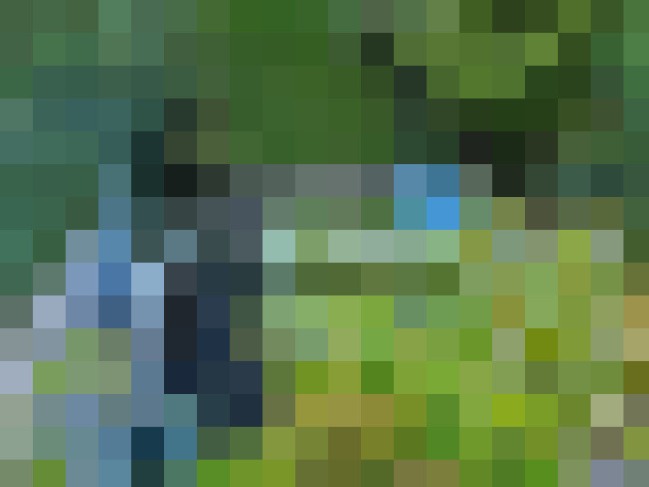 Image 28