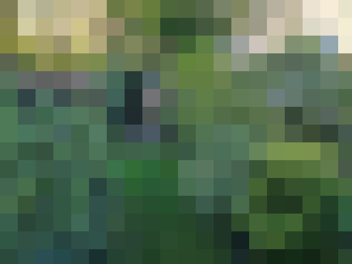 Image 29