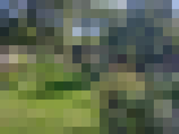 Image 27
