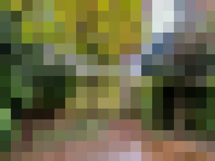 Image 15
