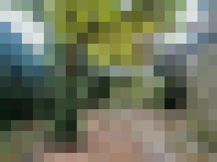 Image 14