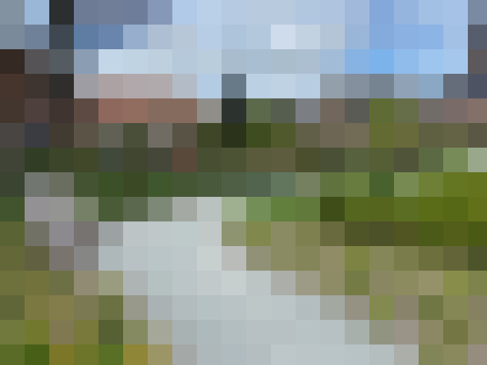Image 14