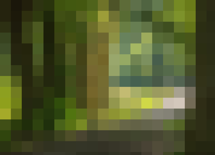 Image 18