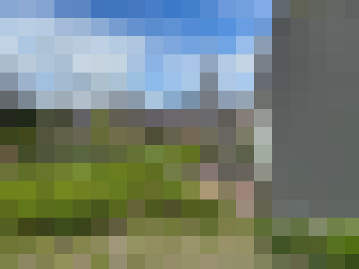 Image 15