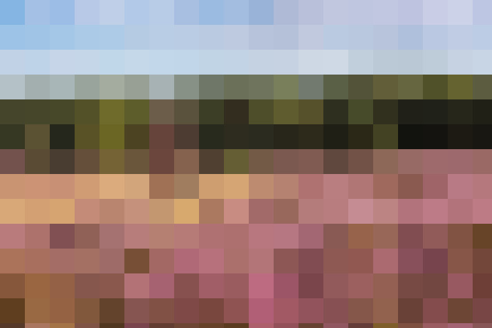 Image 17