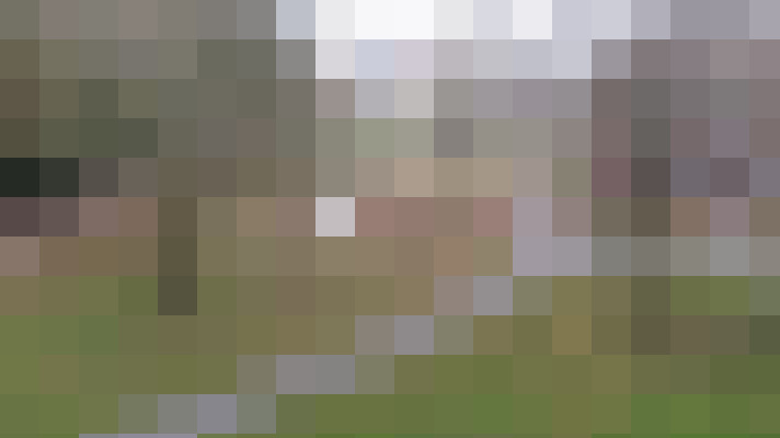 Image 33