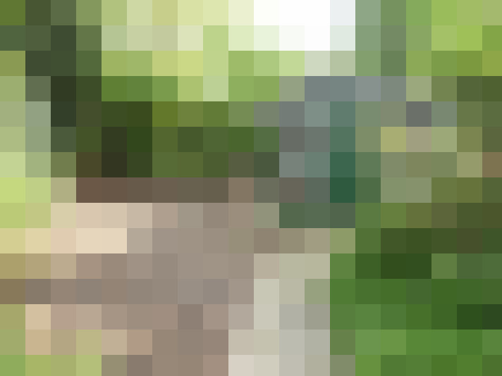 Image 13