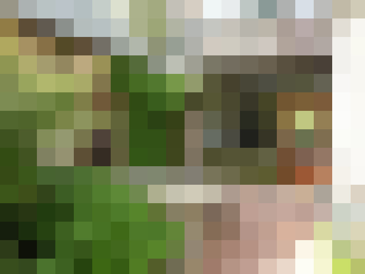 Image 14