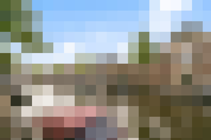 Image 30