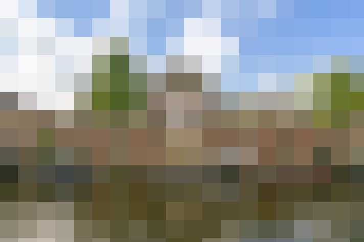 Image 31