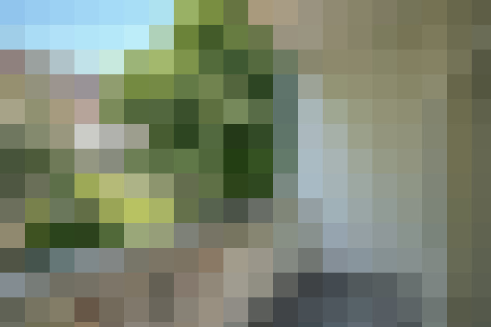 Image 22
