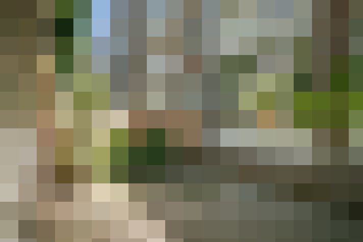 Image 29