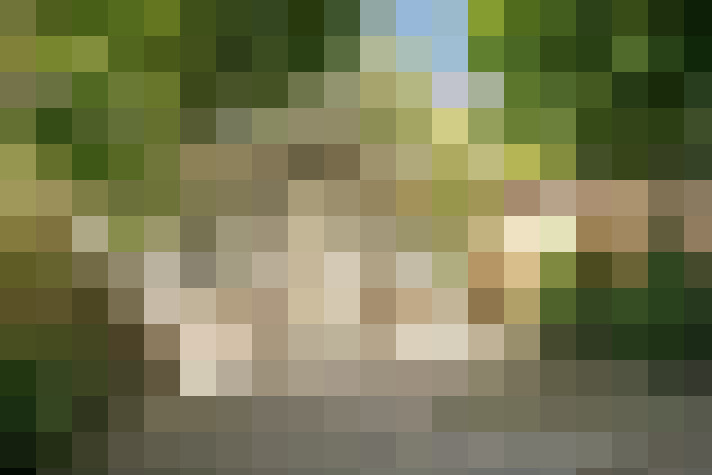 Image 27