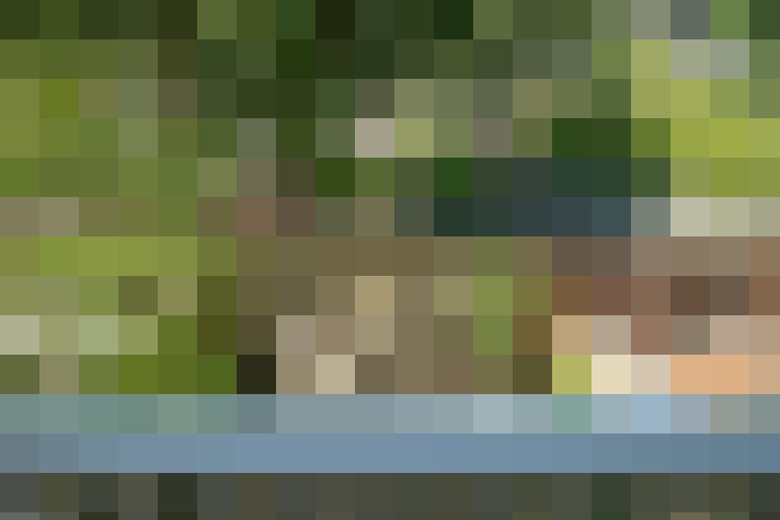 Image 23