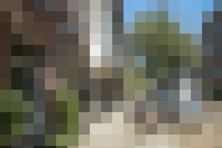 Image 32
