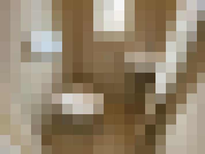 Image 14