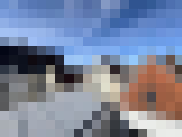 Image 40