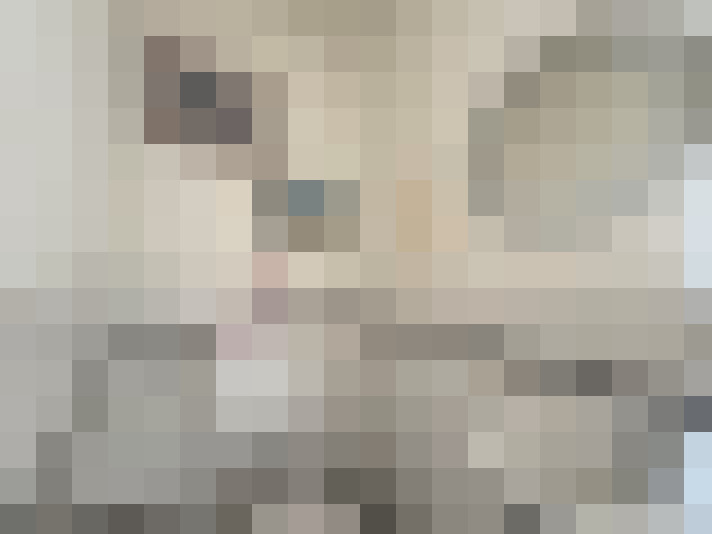 Image 13