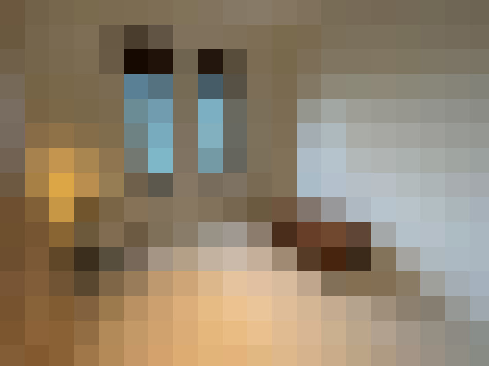 Image 20