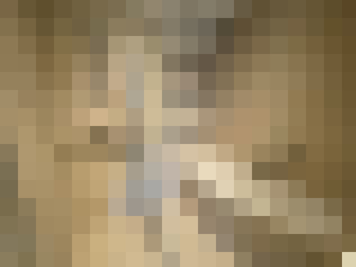 Image 15