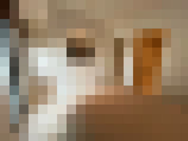 Image 17