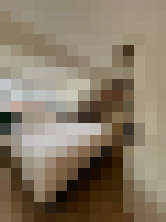 Image 31