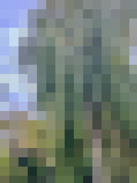 Image 59