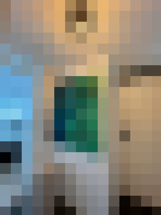 Image 29