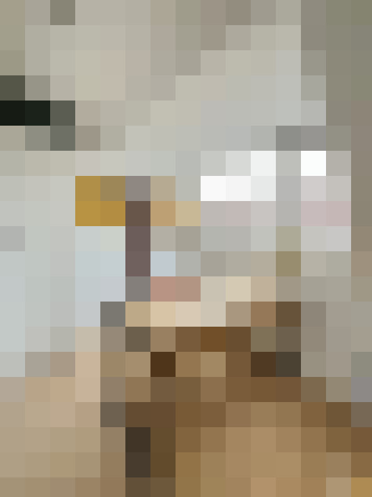 Image 45