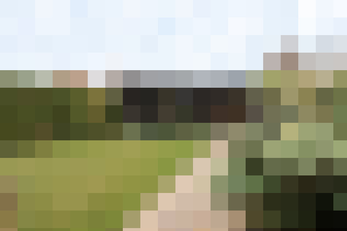 Image 36