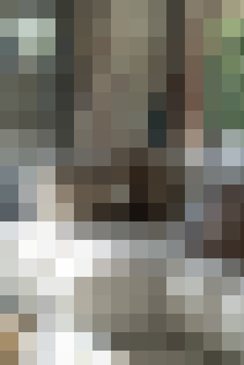 Image 42
