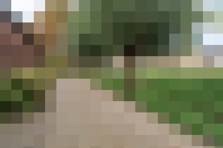 Image 39