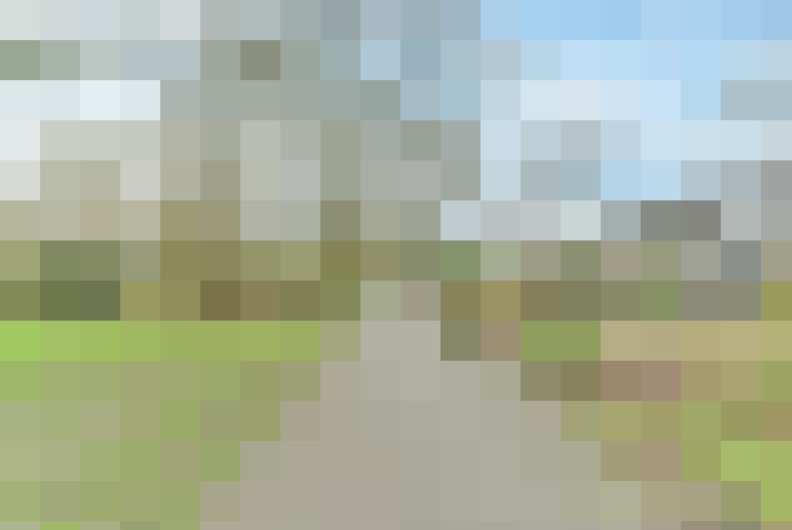 Image 61
