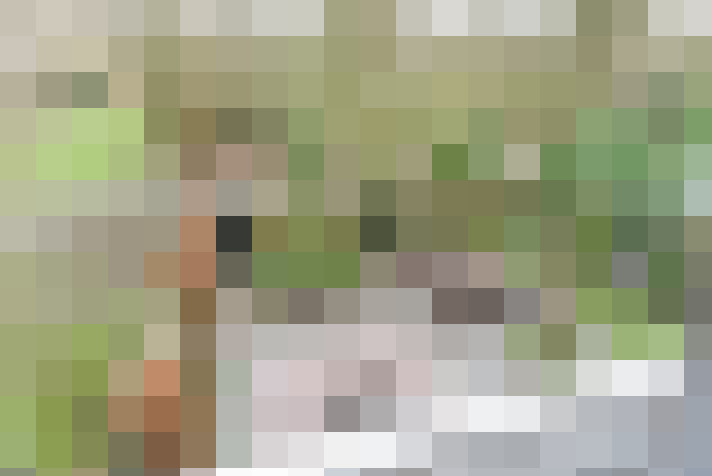 Image 60