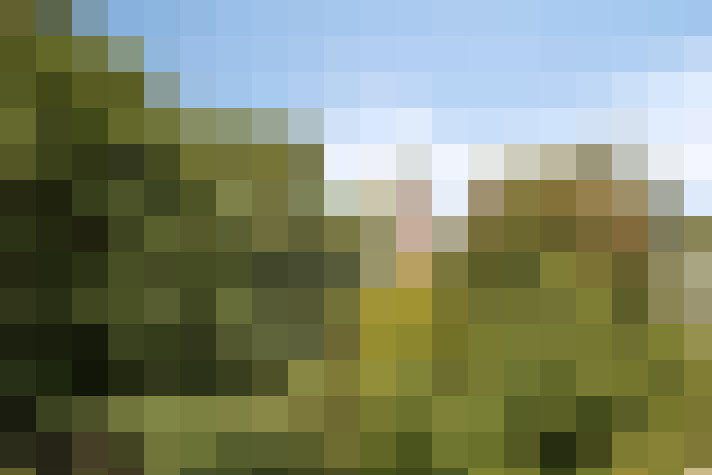 Image 15