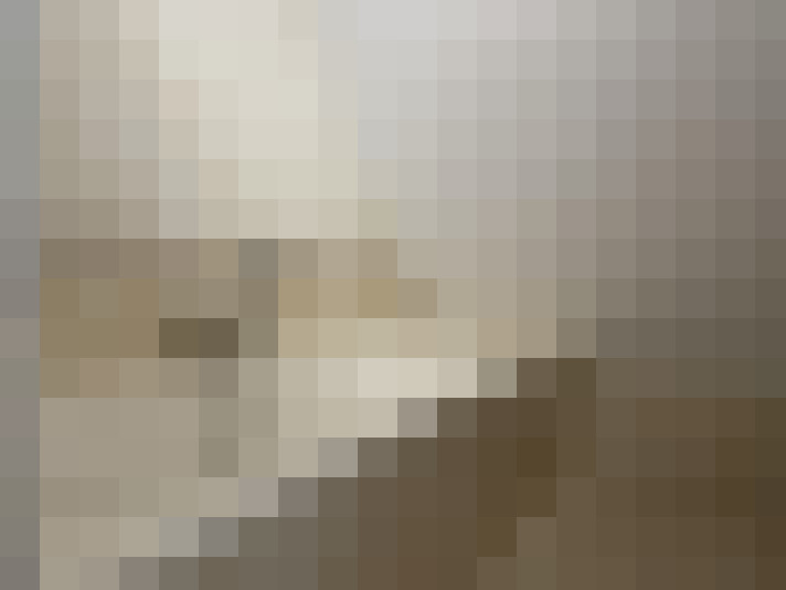 Image 23